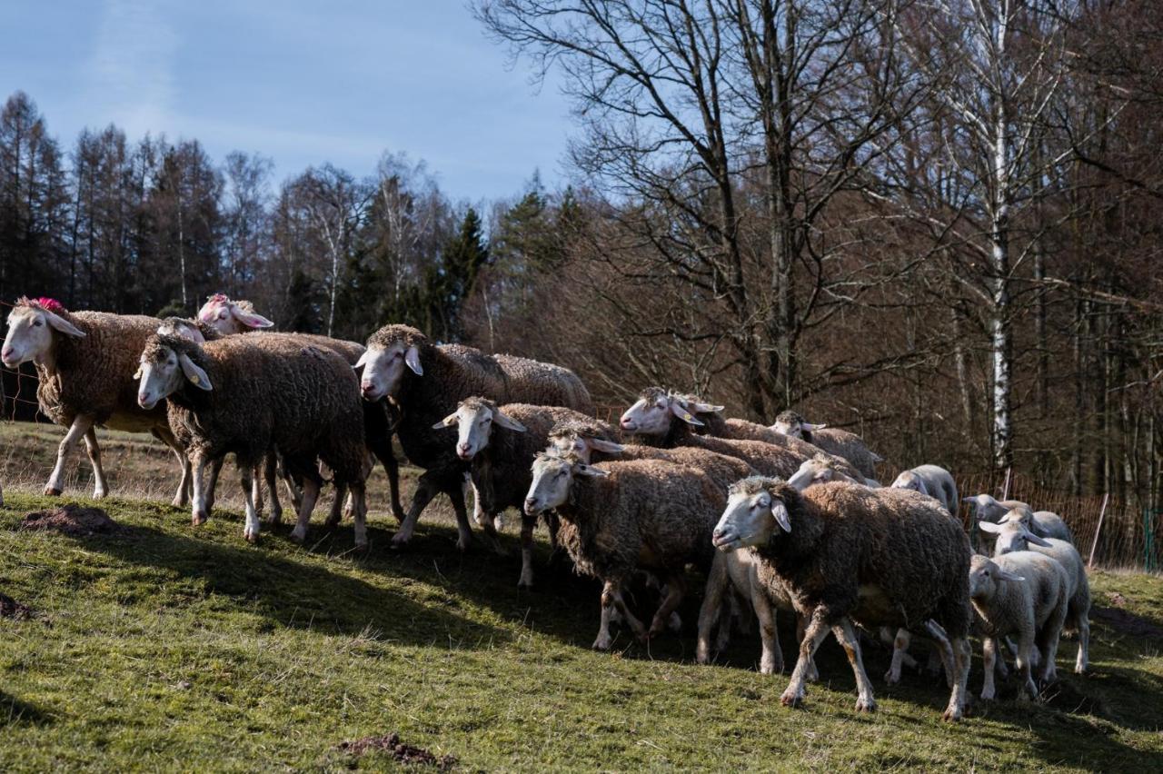 Ferienhaeuser Zur Schaeferei Mitwitz Zewnętrze zdjęcie